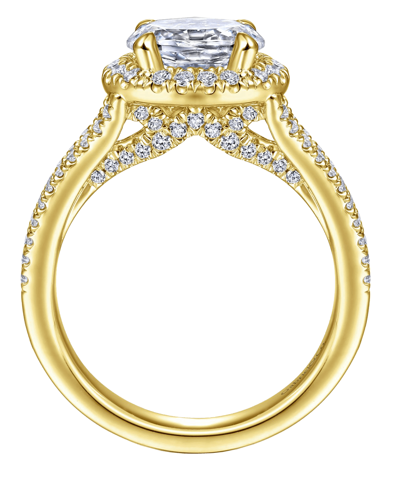 Luxury engagement ring